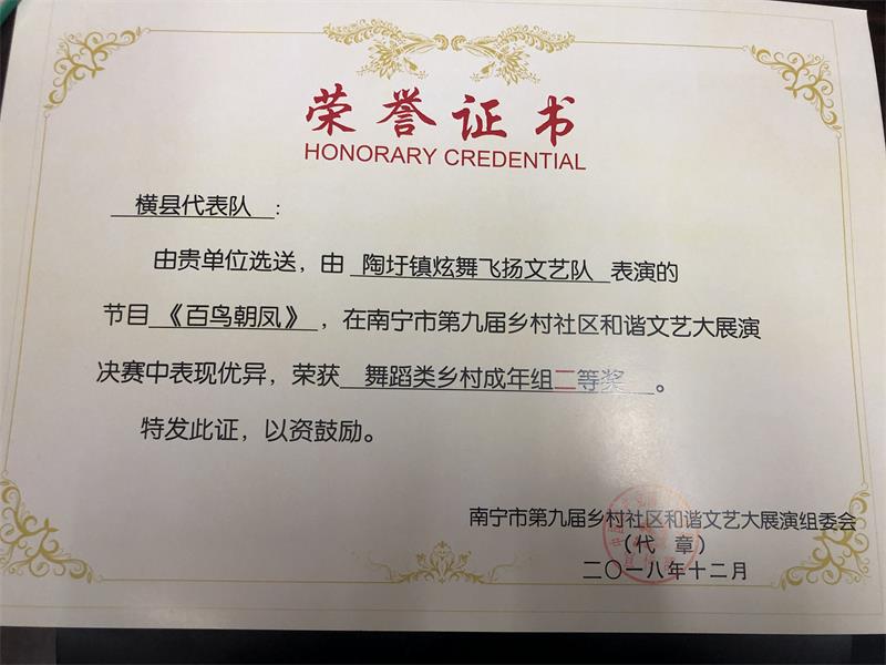 2018年南宁市第九届乡村社区和谐文艺大展演决赛获奖节目