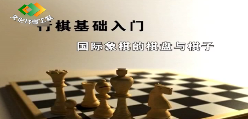 国际象棋—基础入门